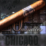 20 minutes in Chicago: MAGNIFICENT MILE 6 x 55 (BOX OF 20)